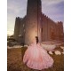 2024 Pink Quinceanera Dress Long Sleeve Vestidos De 15 Anos Girls Sweet 16 Dresses