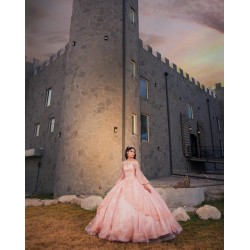 2024 Pink Quinceanera Dress Long Sleeve Vestidos De 15 Anos Girls Sweet 16 Dresses