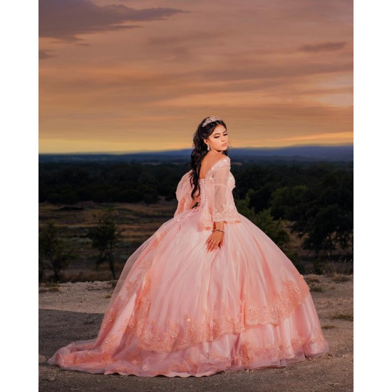 2024 Pink Quinceanera Dress Long Sleeve Vestidos De 15 Anos Girls Sweet 16 Dresses