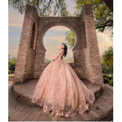 2024 Rose Gold Quince Dress Sleeveless Vestidos De 15 Anos With Bow