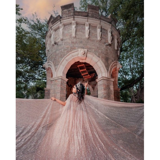 2024 Rose Gold Quince Dress Sleeveless Vestidos De 15 Anos With Bow