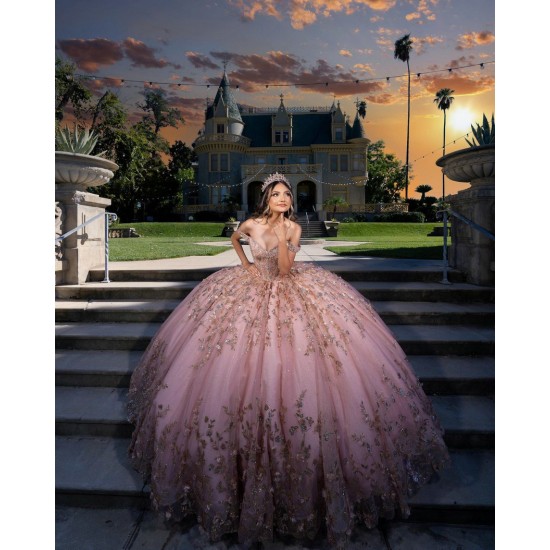 3D Flowers Rose Gold Quince Dress Off Shoulder Vestidos De 15 Anos