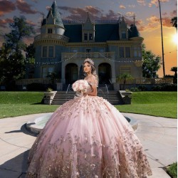 3D Flowers Rose Gold Quince Dress Off Shoulder Vestidos De 15 Anos