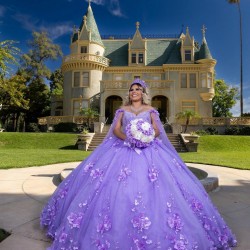 Cape Sleeve Lilac Quinceanera Dress Sweetheart Neck Sweet 15 Gowns