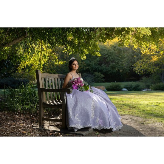 Cape Sleeve Lilac Quinceanera Dresses V Neck Lace Appliques Ball Gown 15 Dress