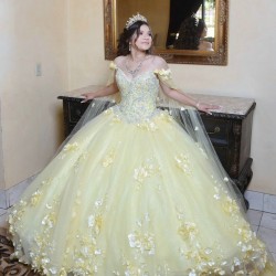 Cape Sleeve Yellow Quinceanera Dress V Neck 15 Dresses With 3D Flowers