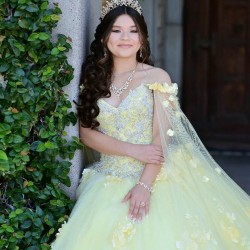 Cape Sleeve Yellow Quinceanera Dress V Neck 15 Dresses With 3D Flowers