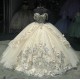 Champagne Quinceanera Dress 3D Floral Appliques 15 Dresses Off Shoulder Ball Gown