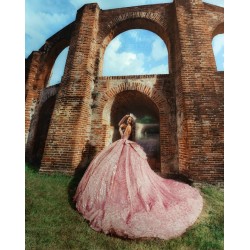 Detachable Sleeve Quinceanera Dress Pink Sequin Vestidos De 15 Anos With Bow