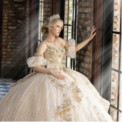 Detachable Sleeve Vestidos De 15 Anos Champagne Quinceanera Dress With Bow