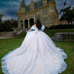 Feather Champagne Quince Dress Crystal Vestidos De 15 Anos