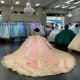 Floral Appliqued Multi Colors Quinceanera Dresses Champagne Pink