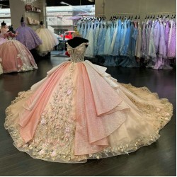 Floral Appliqued Multi Colors Quinceanera Dresses Champagne Pink