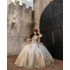 Long Sleeve Champagne Quince Dress Sweetheart Neck Vestidos De 15 Anos