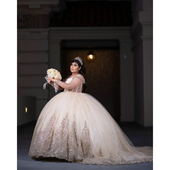 Long Sleeve Champagne Quinceanera Dress 2024 Dresses