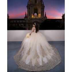 Long Sleeve Champagne Quinceanera Dress 2024 Dresses