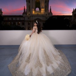 Long Sleeve Champagne Quinceanera Dress 2024 Dresses