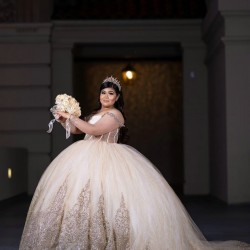 Long Sleeve Champagne Quinceanera Dress 2024 Dresses