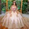 Long Sleeve Champagne Quinceanera Dress Lace Appliques Scoop Neck 15 Dresses