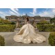 Long Sleeve Champagne Quinceanera Dresses Sweetheart Neck 15 Dress