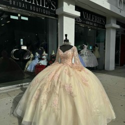 Long Sleeve Champagne Quinceanera Dresses V Neck 15 Dress