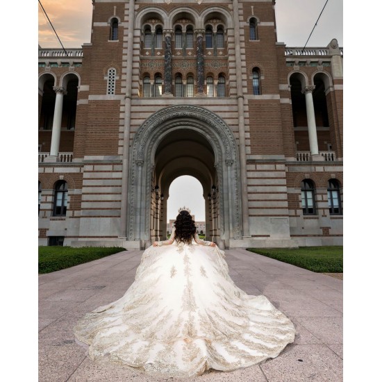 Long Sleeve Gold Quince Dress Sweetheart Neck Vestidos De 15 Anos