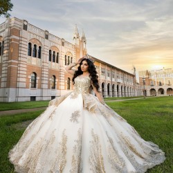 Long Sleeve Gold Quince Dress Sweetheart Neck Vestidos De 15 Anos