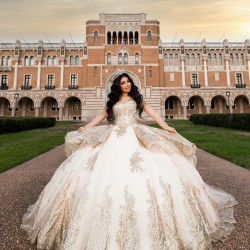 Long Sleeve Gold Quince Dress Sweetheart Neck Vestidos De 15 Anos