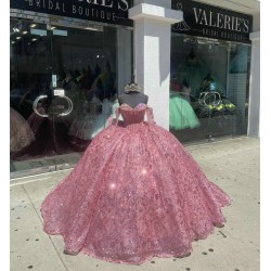 Long Sleeve Hot Pink Quinceanera Dresses Sweetheart Neck Sequin 15 Dress