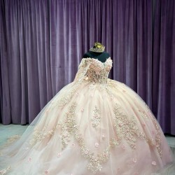 Long Sleeve Light Pink 15 Dresses V Neck Ball Gown Quince Dress