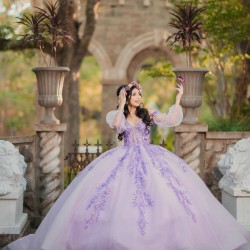 Long Sleeve Lilac Quinceanera Dress 2024 Ball Gown Princess Dresses