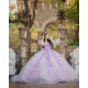 Long Sleeve Lilac Quinceanera Dress 2024 Ball Gown Princess Dresses