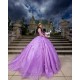 Long Sleeve Lilac Quinceanera Dress Sweet 15 Gowns Princess Dresses