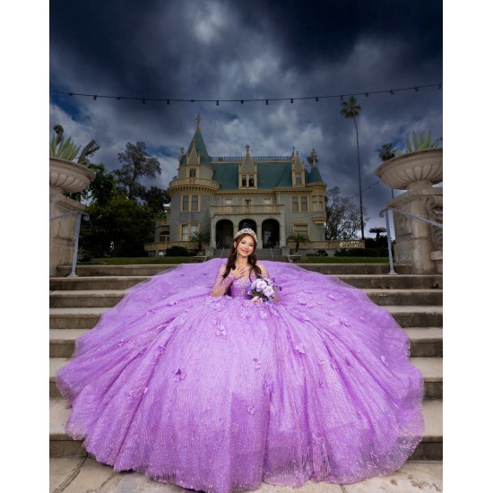 Long Sleeve Lilac Quinceanera Dress Sweet 15 Gowns Princess Dresses