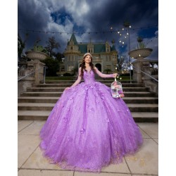 Long Sleeve Lilac Quinceanera Dress Sweet 15 Gowns Princess Dresses