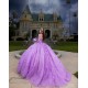 Long Sleeve Lilac Quinceanera Dress Sweet 15 Gowns Princess Dresses