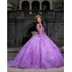 Long Sleeve Lilac Quinceanera Dress Sweet 15 Gowns Princess Dresses