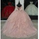 Long Sleeve Pink Quince Dresses V Neck 15 Dress Lace Appliques Ball Gown