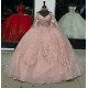 Long Sleeve Pink Quince Dresses V Neck 15 Dress Lace Appliques Ball Gown