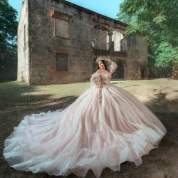 Long Sleeve Pink Quinceanera Dress Sweet 16 Dresses Vestidos De 15 Anos