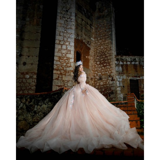 Long Sleeve Pink Quinceanera Dress Sweetheart Neck Vestidos De 15 Anos