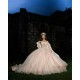 Long Sleeve Pink Quinceanera Dress Sweetheart Neck Vestidos De 15 Anos