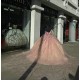 Long Sleeve Rose Gold Quinceanera Dresses Ball Gown Sweetheart 15 Dress