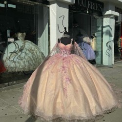 Long Sleeve Rose Gold Quinceanera Dresses Ball Gown Sweetheart 15 Dress