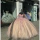 Long Sleeve Rose Gold Quinceanera Dresses Ball Gown Sweetheart 15 Dress