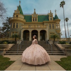 Long Sleeve Rose Gold Quinceanera Dresses V Neck 15 Dress With 3D Flowers