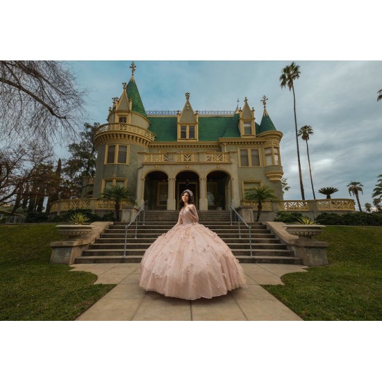 Long Sleeve Rose Gold Quinceanera Dresses V Neck 15 Dress With 3D Flowers