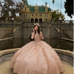 Long Sleeve Rose Gold Quinceanera Dresses V Neck 15 Dress With 3D Flowers