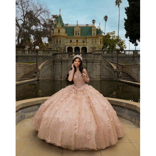 Long Sleeve Rose Gold Quinceanera Dresses V Neck 15 Dress With 3D Flowers