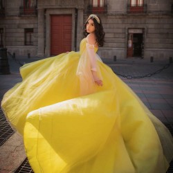 Long Sleeve Yellow Quince Dresses V Neck 15 Dress